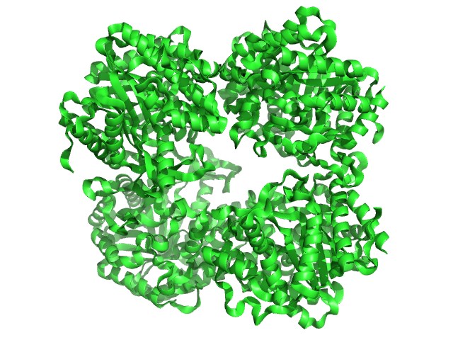 Enzymstruktur von β-Glucosidase.