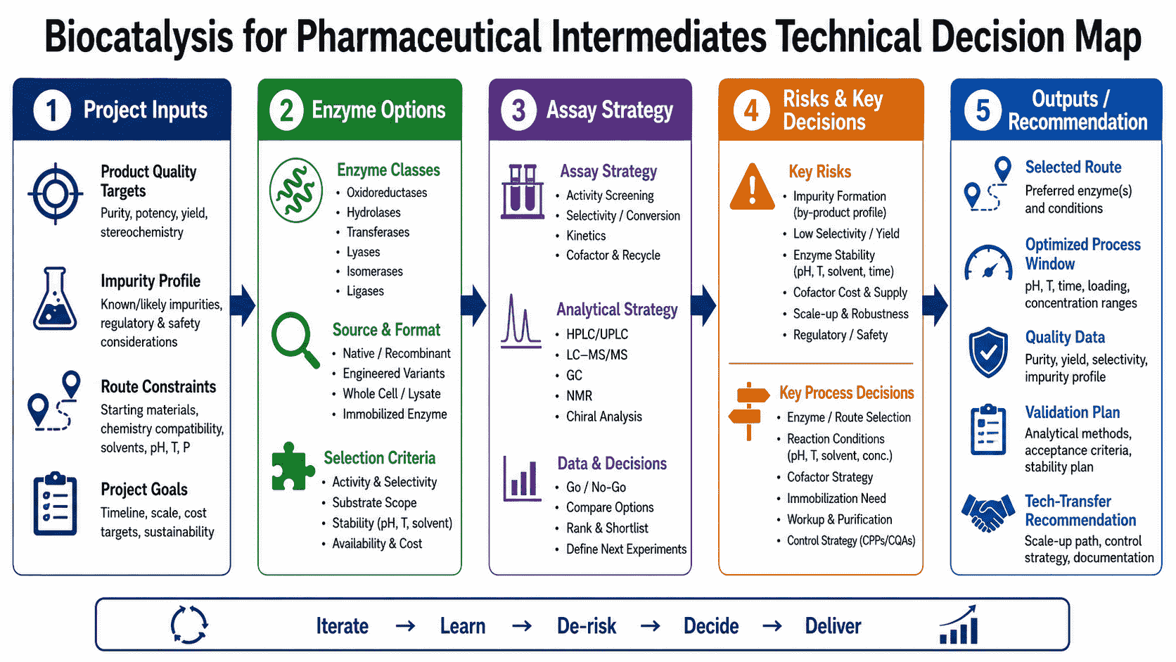 Technical decision map for pharmaceutical intermediate biocatalysis showing enzyme route options, analytical controls, process risks, and development decisions