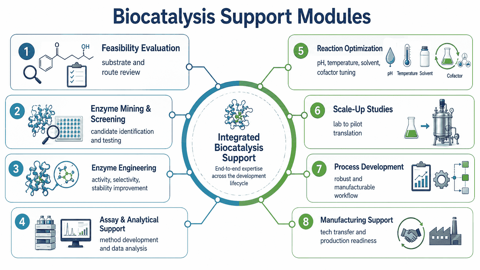 Biocatalysis support modules from feasibility evaluation to process development