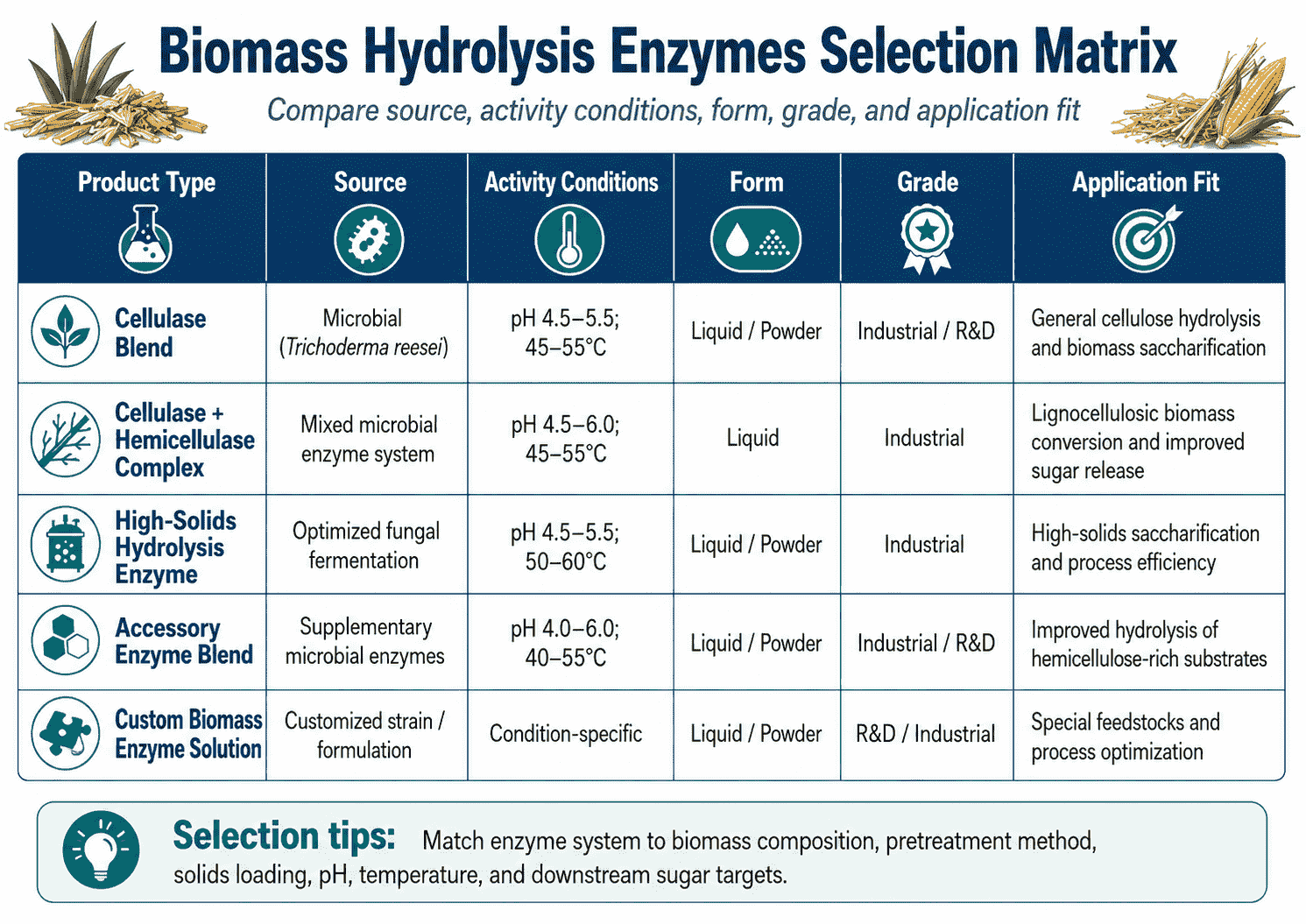 Selection matrix for Biomass Hydrolysis Enzymes comparing source, activity conditions, form, grade, and application fit
