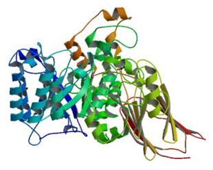 Die Kristallstruktur der Blutgruppen-Substanz endo-1,4-beta-galactosidase von Streptococcus pneumoniae