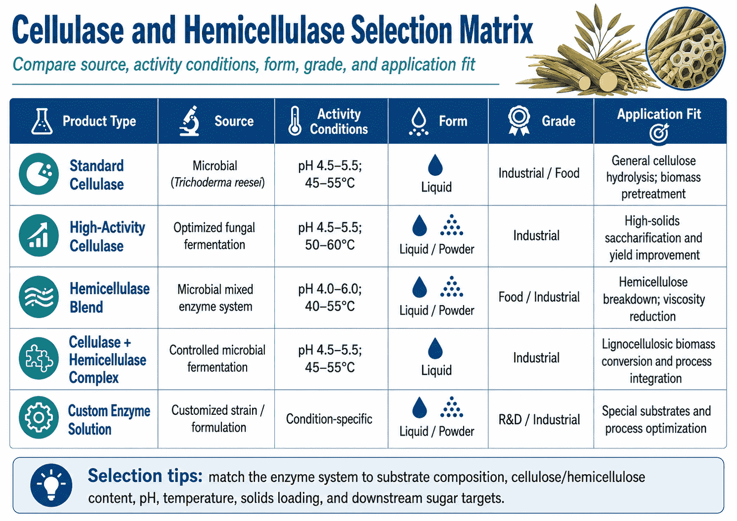 Selection matrix for Cellulase and Hemicellulase Selection Guide comparing source, activity conditions, form, grade, and application fit