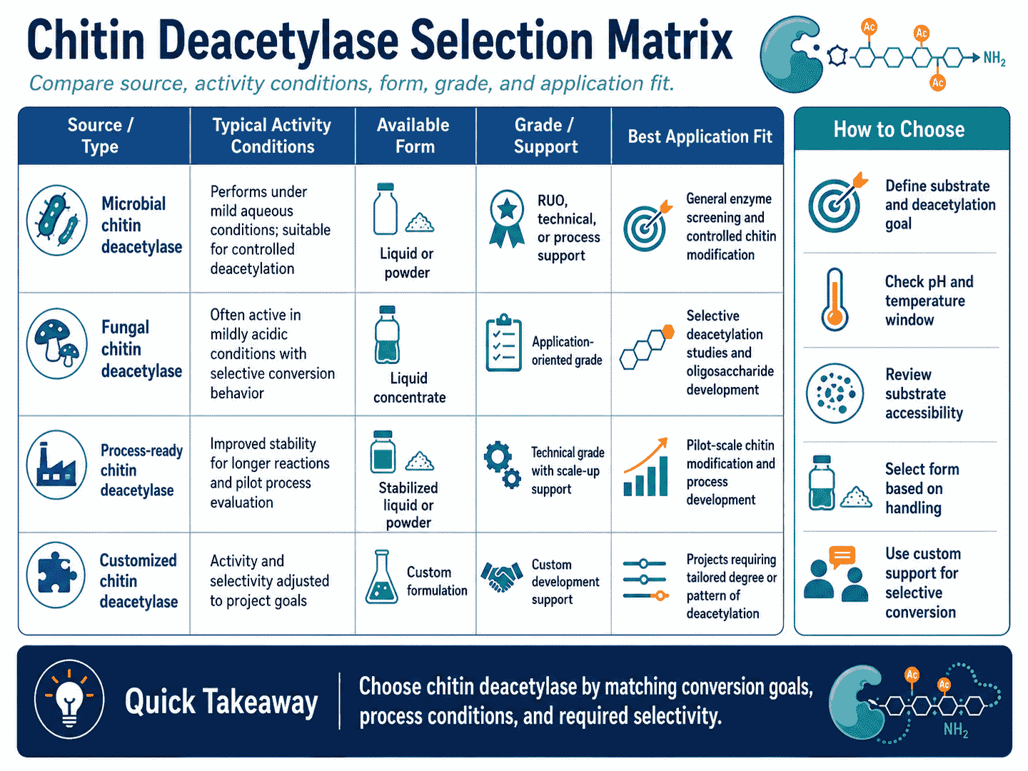 Selection matrix for Chitin Deacetylase comparing source, activity conditions, form, grade, and application fit