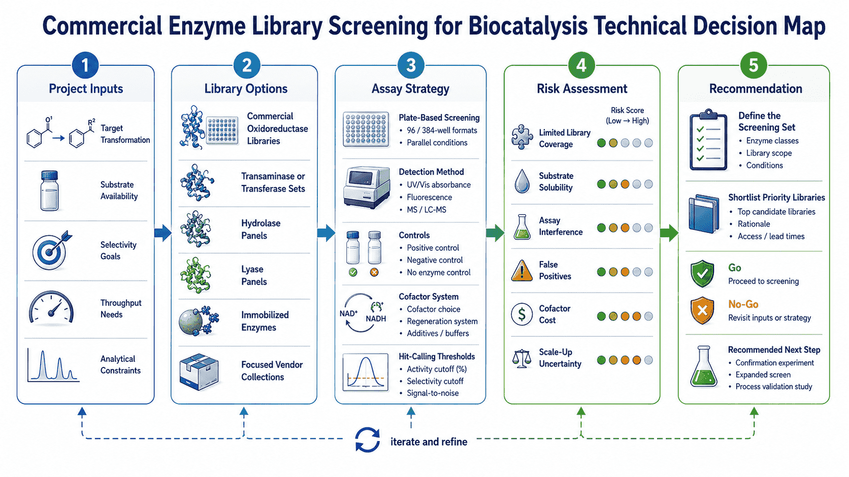 Technical decision map for Commercial Enzyme Library Screening for Biocatalysis showing enzyme options, assay strategy, risks, and project inputs