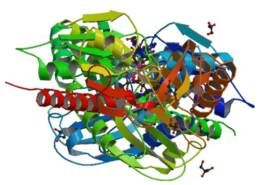 Enzymaktivitätsmessung von D-Aminosäureoxidase