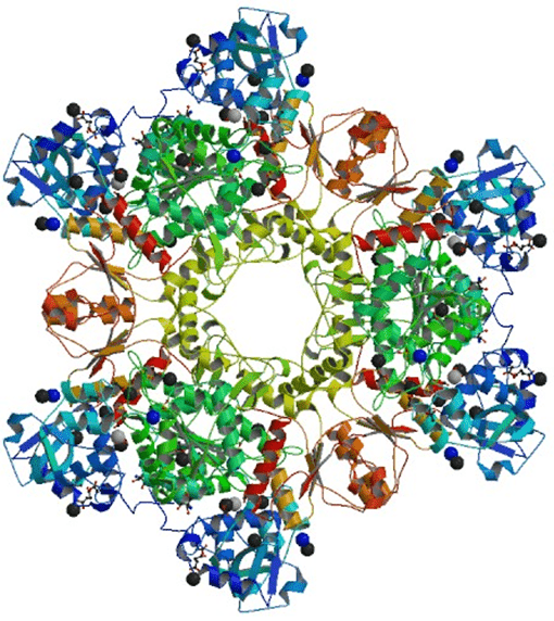 Enzymaktivitätsmessung für Sulfat-Adenylyltransferase