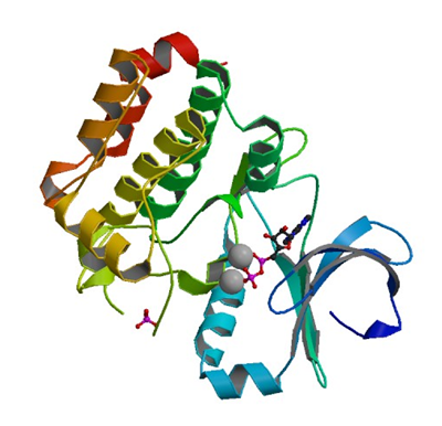 Enzymaktivitätsmessung für nicht-spezifische Serin/Threonin-Protein-Kinase
