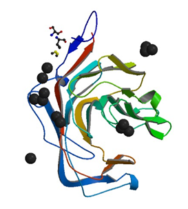 Die Kristallstruktur von κ-Carrageenase aus P. carrageenovora