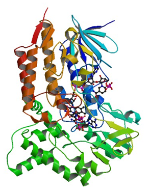 Die geschlossene Kristallstruktur der Cyclohexanon-Monooxygenase