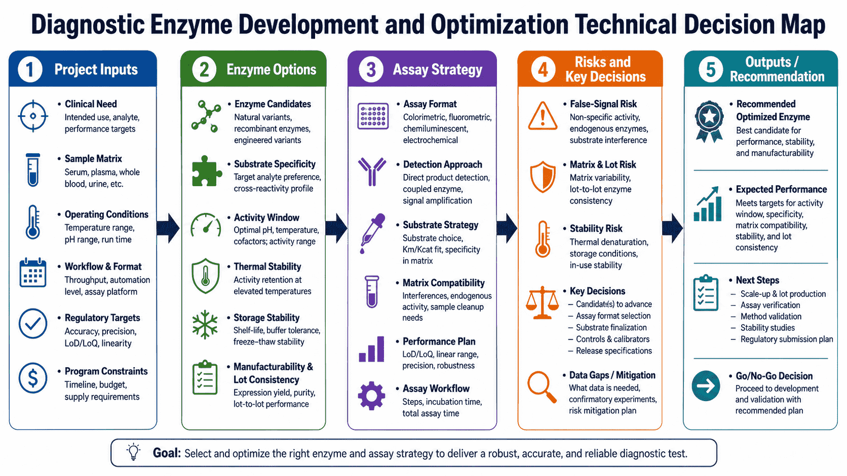Technical decision map for diagnostic enzyme development showing assay role, performance attributes, formulation choices, stability risks, and application testing