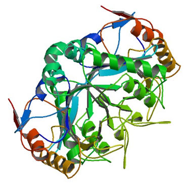 Die Kristallstruktur von endo-beta-N-acetylglucosaminidase H von Streptomyces plicatus