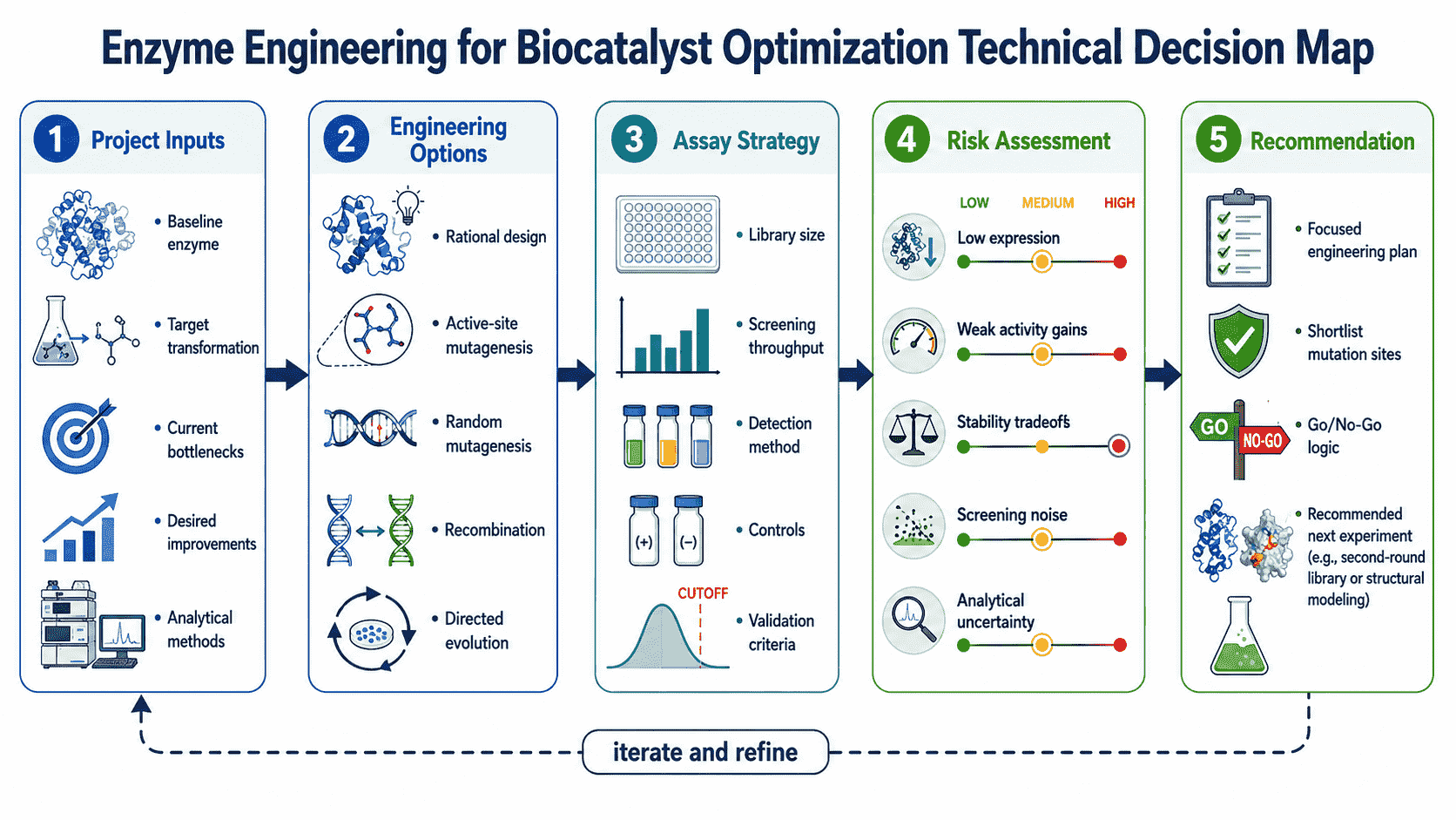 Decision map for enzyme engineering strategy selection, assay throughput, library design, hit confirmation, mutation recombination, and biocatalyst development planning