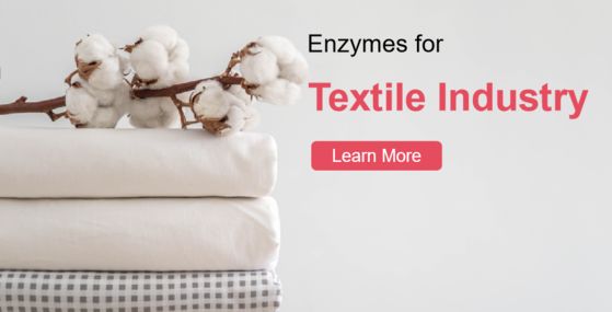 Textil-Enzyme