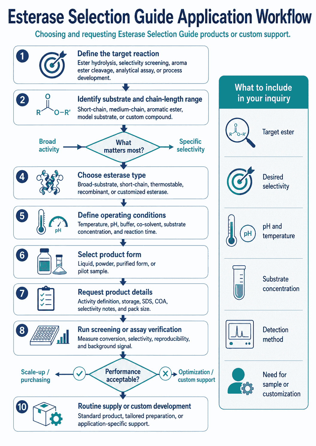 Application workflow for choosing and requesting Esterase Selection Guide products or custom support