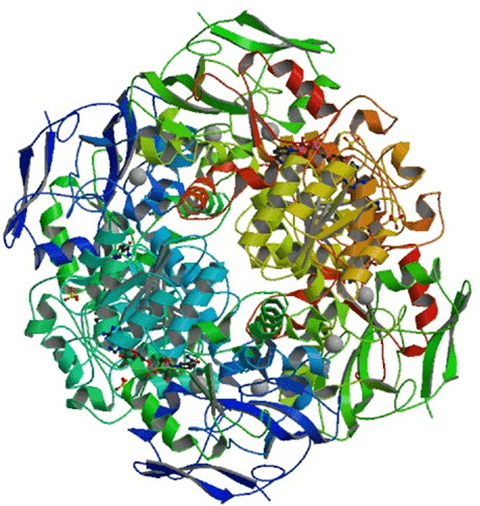 Enzymaktivitätsmessung für Formaldehyddehydrogenase
