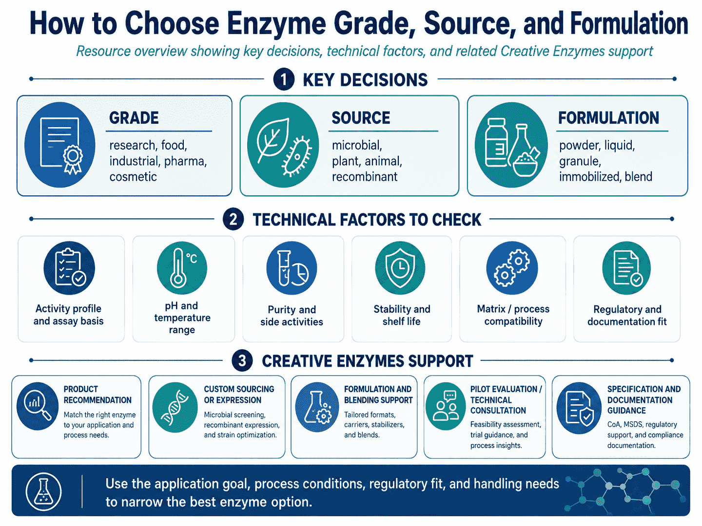 Enzyme grade source and formulation selection overview showing quality level, origin, product form, documentation, and application fit