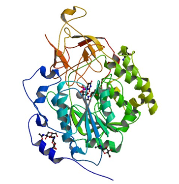 Enzymaktivitätsmessung der Polypeptid N-Acetylgalactosaminyltransferase