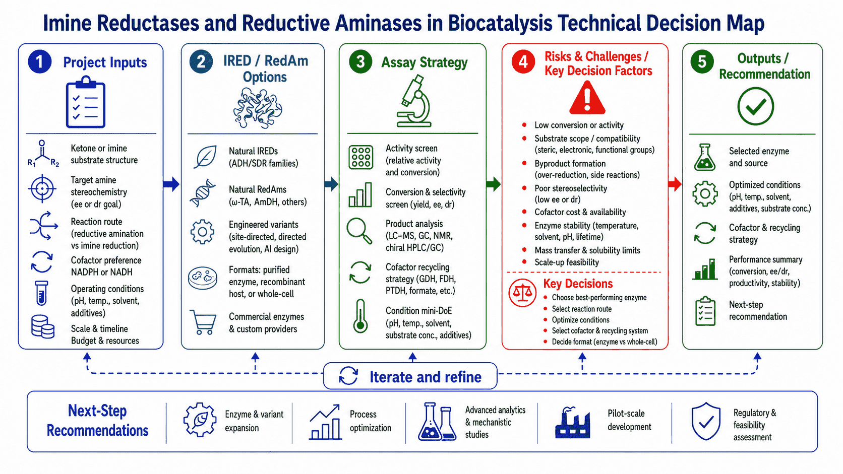 Decision map for imine reductases and reductive aminases showing IRED versus RedAm route choice, substrate and amine partner fit, NADPH regeneration, selectivity, analytics, and optimization path