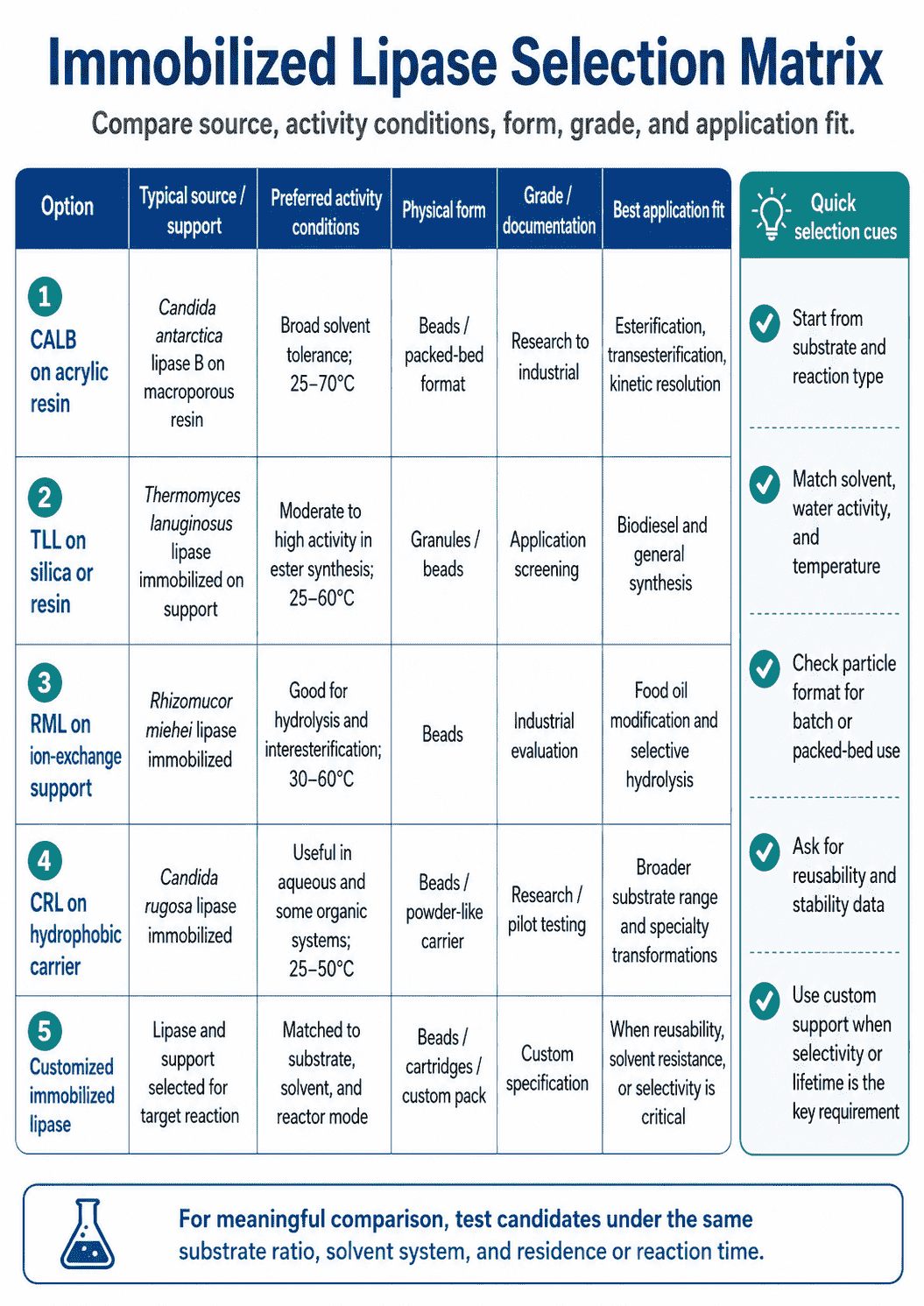 Selection matrix for Immobilized Lipase comparing source, activity conditions, form, grade, and application fit