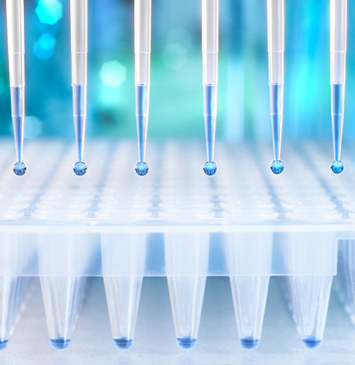 Enzymologische Assays