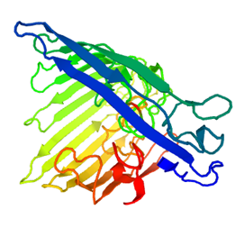Die Kristallstruktur der Keratan-Sulfat Endo-1,4-beta-Galactosidase von Sphingobacterium multivorum
