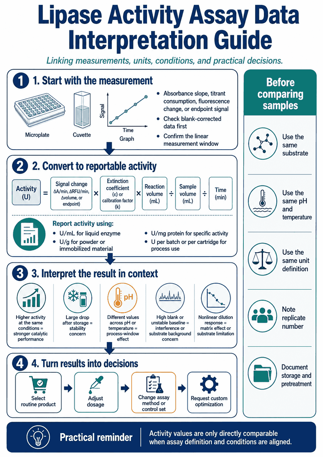 Data interpretation guide for Lipase Activity Assay linking measurements, units, conditions, and practical decisions