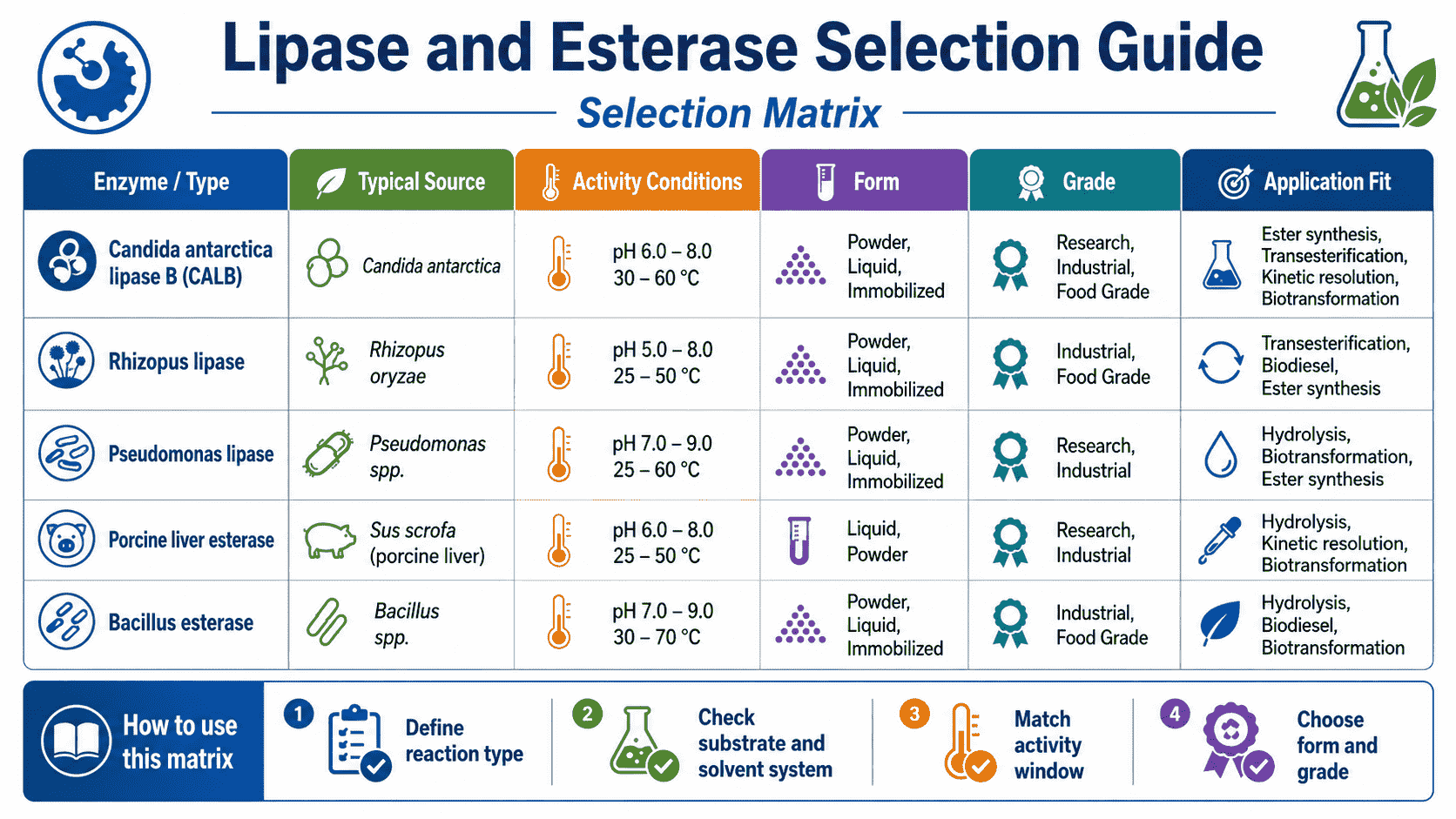 Selection matrix for lipase and esterase products comparing substrate chain length, interface behavior, water activity, reaction direction, selectivity, immobilized format, and application fit
