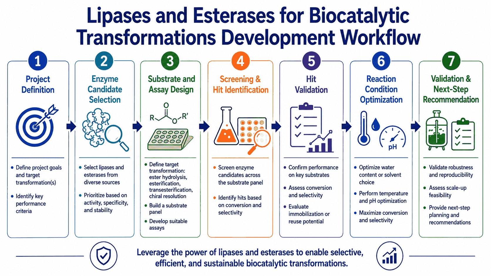 Workflow for lipases and esterases in biocatalytic transformations from reaction mode selection and enzyme screening to water activity control, selectivity analysis, immobilized catalyst evaluation, and optimization