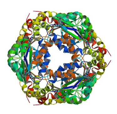 Enzymaktivitätsmessung für Guanylatkinase