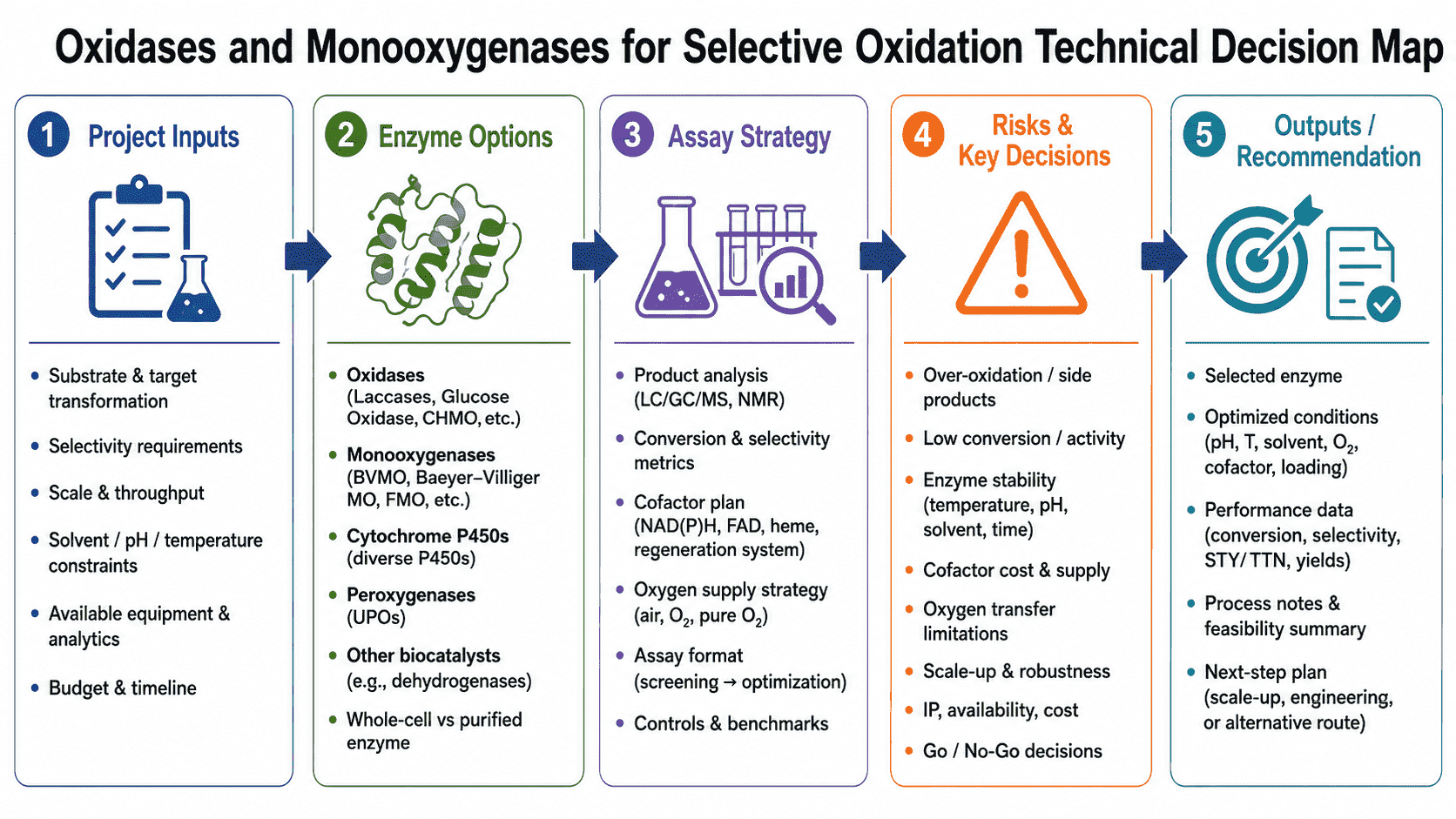Decision map for oxidases and monooxygenases showing enzyme class selection, oxygen transfer, peroxide management, cofactor regeneration, selectivity analytics, and scale-up risks