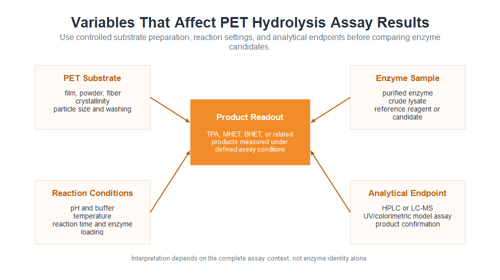 Experimentelle Variablen, die die Ergebnisse von PET-Hydrolyse-Assays beeinflussen