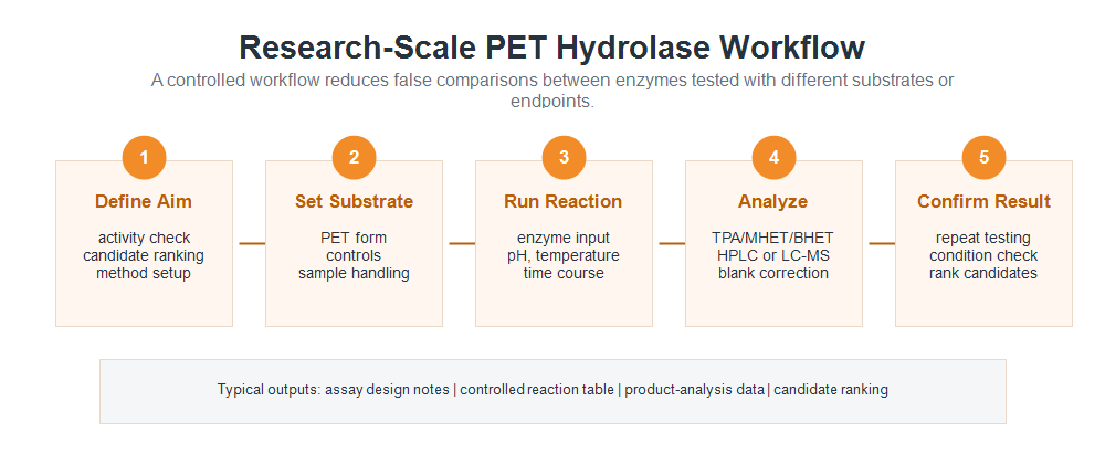 Workflow im Forschungsmaßstab für PET-Hydrolase-Assays und Kandidatenvalidierung