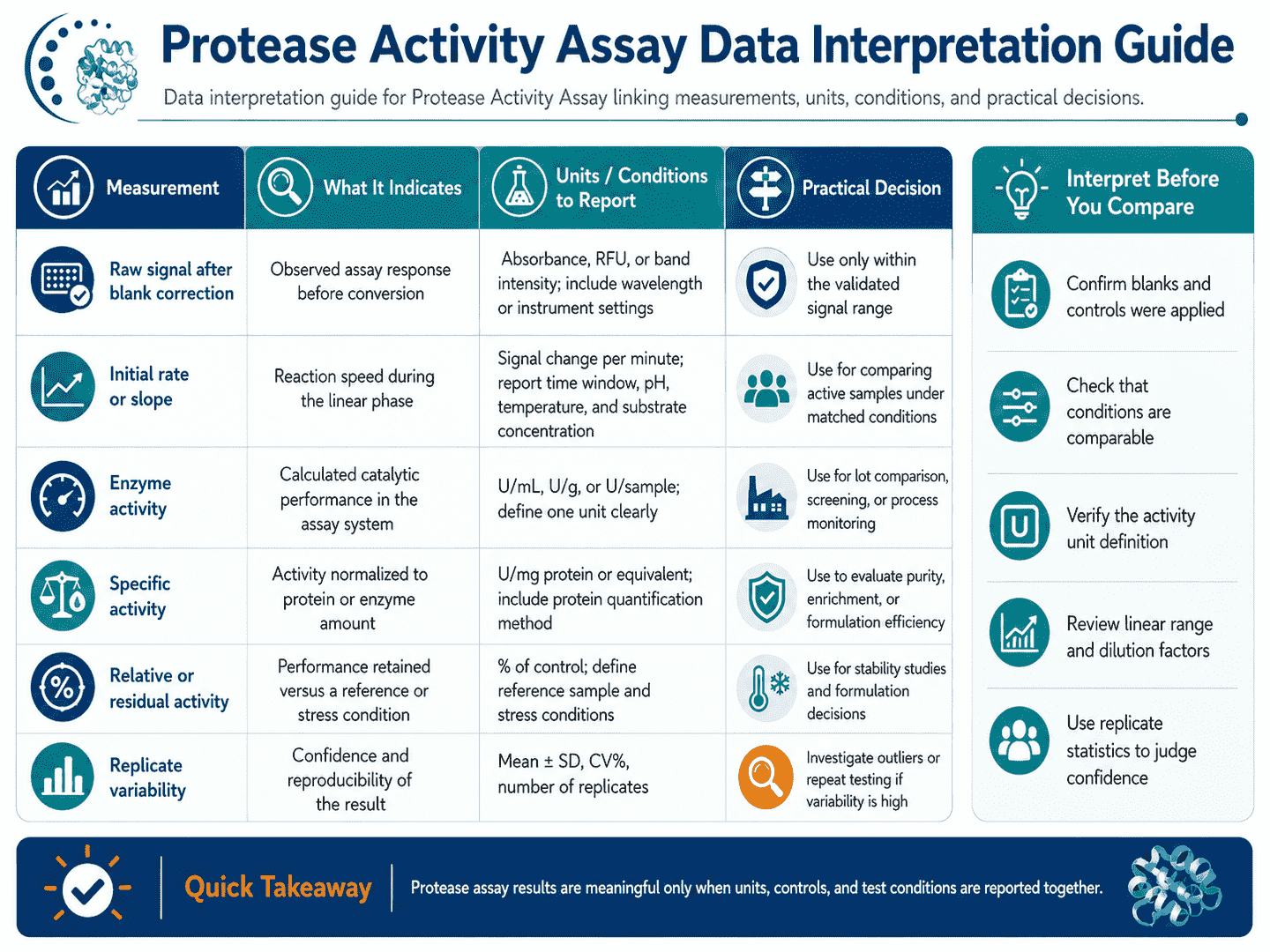Data interpretation guide for Protease Activity Assay linking measurements, units, conditions, and practical decisions