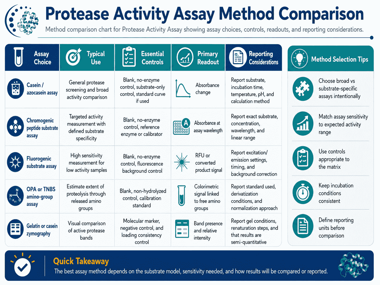 Method comparison chart for Protease Activity Assay showing assay choices, controls, readouts, and reporting considerations