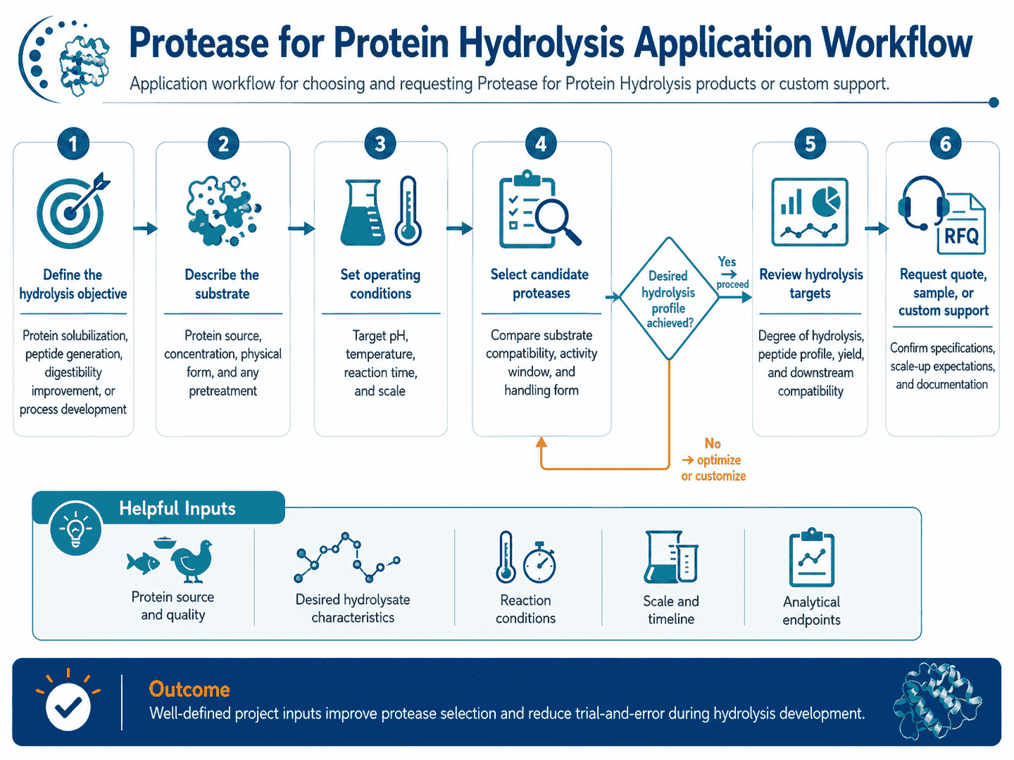 Application workflow for choosing and requesting Protease for Protein Hydrolysis products or custom support