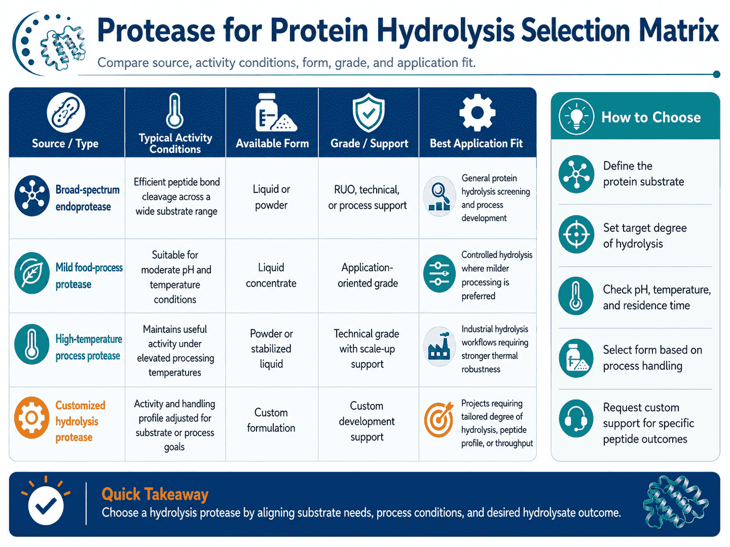 Selection matrix for Protease for Protein Hydrolysis comparing source, activity conditions, form, grade, and application fit