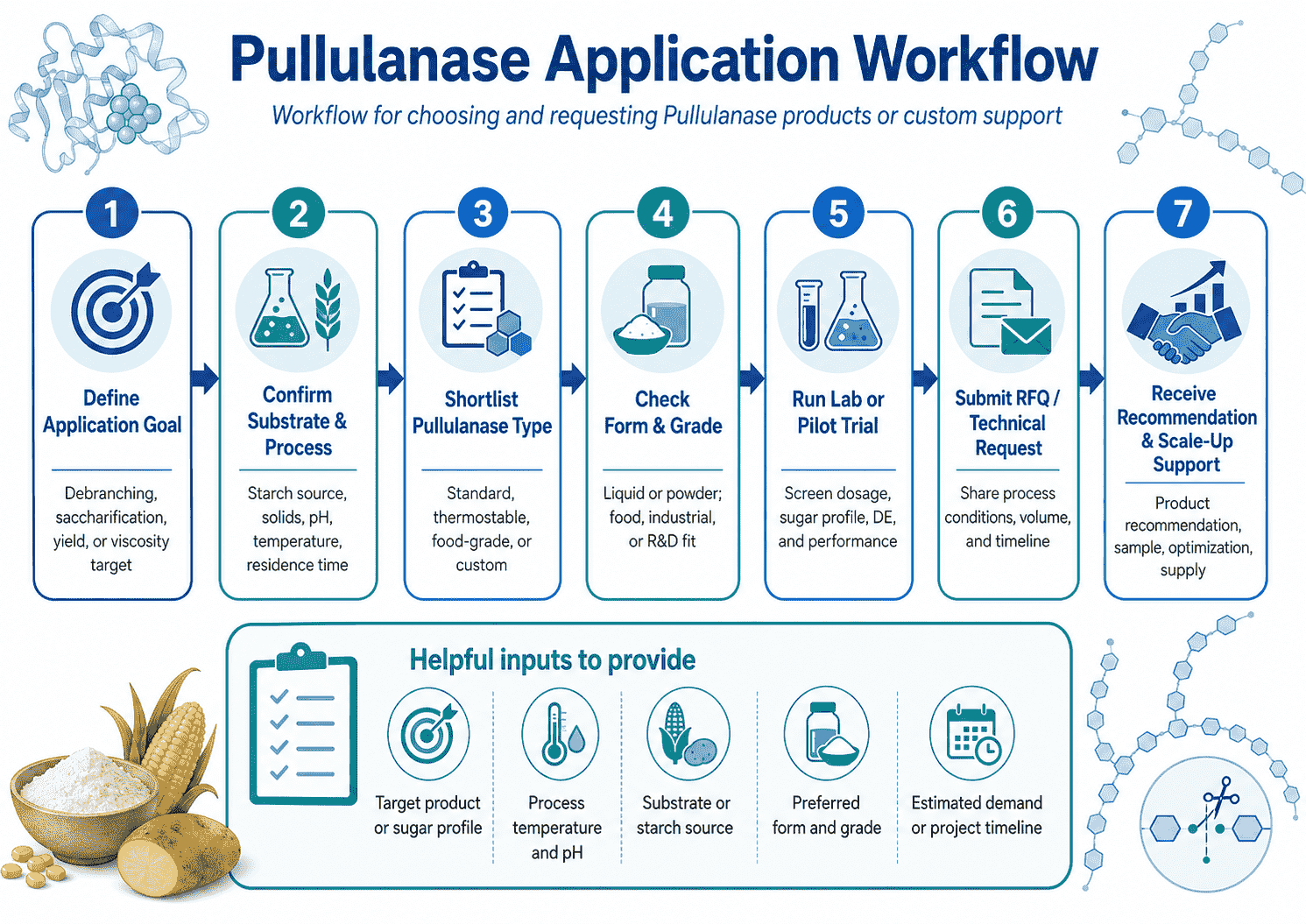 Application workflow for choosing and requesting Pullulanase products or custom support