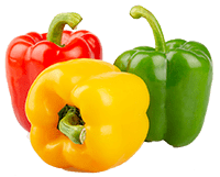 Paprika Extrakt