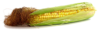 Maisseidenextrakt