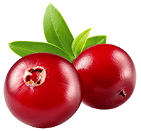 Cranberry-Extrakt