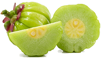 Garcinia Cambogia Extrakt