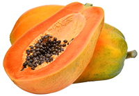 Papaya-Samen-Extrakt