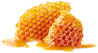 Propolis Extrakt