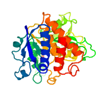Enzymaktivitätsmessung für D-Malat-Dehydrogenase (Decarboxylierend) unter Verwendung spektrophotometrischer Assays