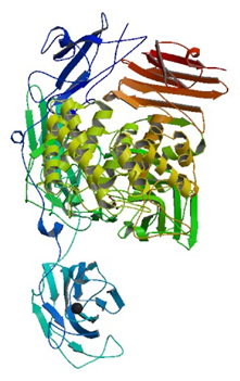 Enzymaktivitätsmessung für Alpha-L-Rhamnosidase