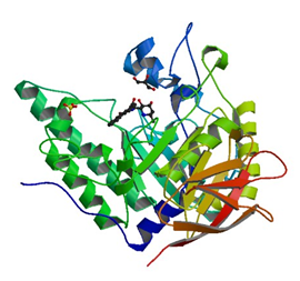 Enzymaktivitätsmessung von Alpha-L-Fucosidase