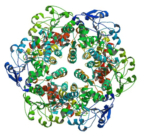 Enzymaktivitätsmessung für Alanin-Dehydrogenase