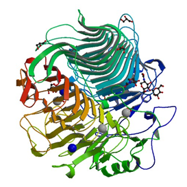 Enzymaktivitätsmessung von Glucan 1,3-Beta-Glucosidase