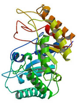 Die Kristallstruktur von beta-1,4-Galaktanase aus Aspergillus aculeatus bei 293k