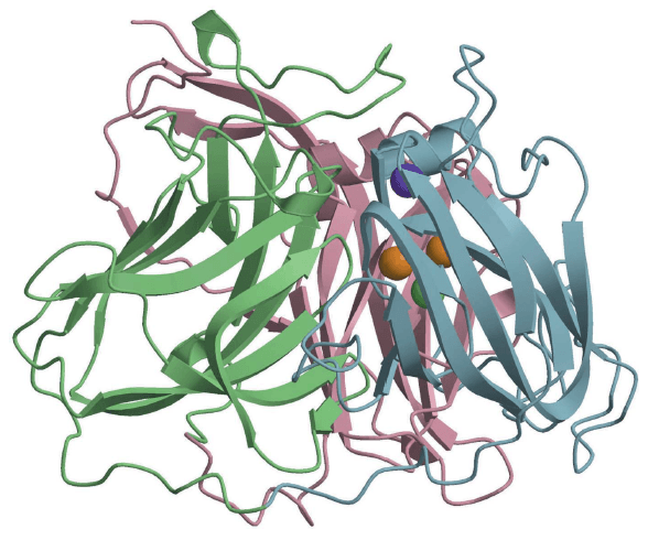 Enzymaktivitätsmessung für Bilirubinoxidase
